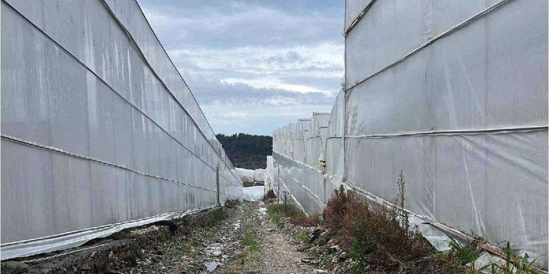 Ne yazı ne de kışı var! 4 mevsim yetişiyor, üreticinin yüzünü güldürüyor: Türkiye’nin ihtiyacı bu ilden karşılanıyor 4